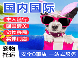 合肥航空货运国际宠物托运 【国